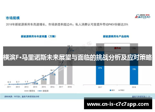 横滨F·马里诺斯未来展望与面临的挑战分析及应对策略