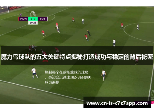 魔力鸟球队的五大关键特点揭秘打造成功与稳定的背后秘密
